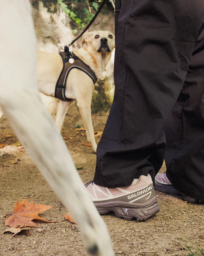 Salomon XT-6 Protective