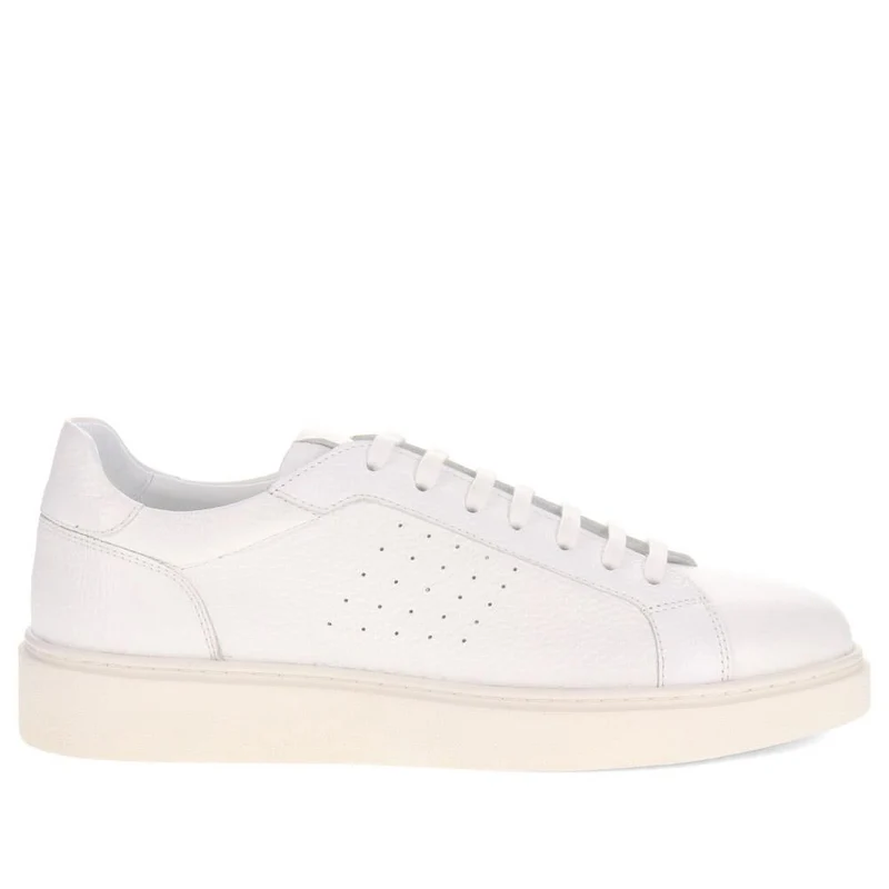 Sammy Leather Trainers - SAMMY / 326 356