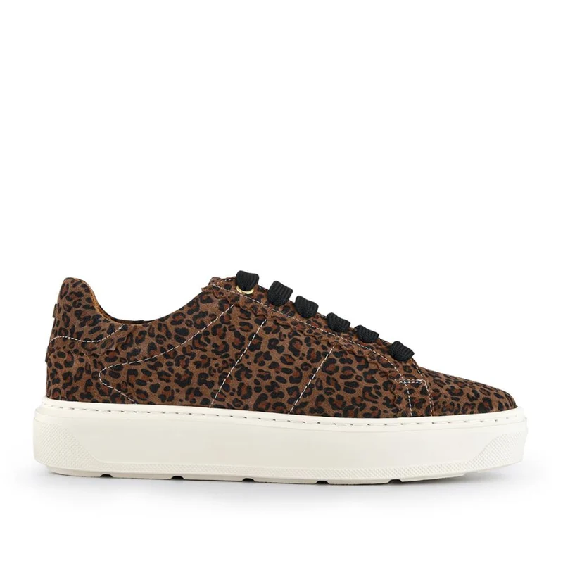 Astra Leather Trainers - ASTRA / 328 533