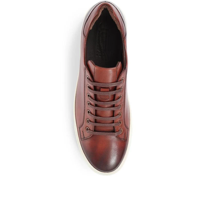 Simon Leather Men's Trainers - SIMON / 319 270 - Cognac Leather