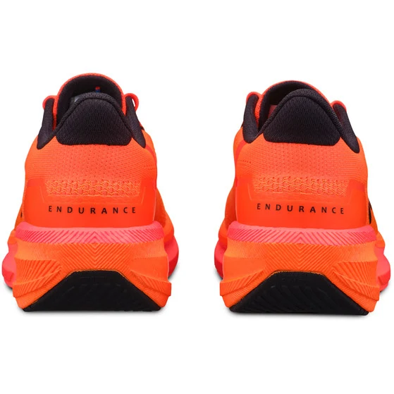 ENDURANCE 3 M