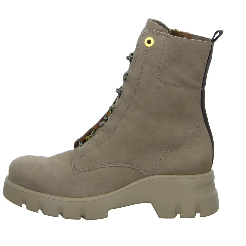 Paul Green Schnürstiefelette Kaltfutter bis 35mm Absatz (casual)